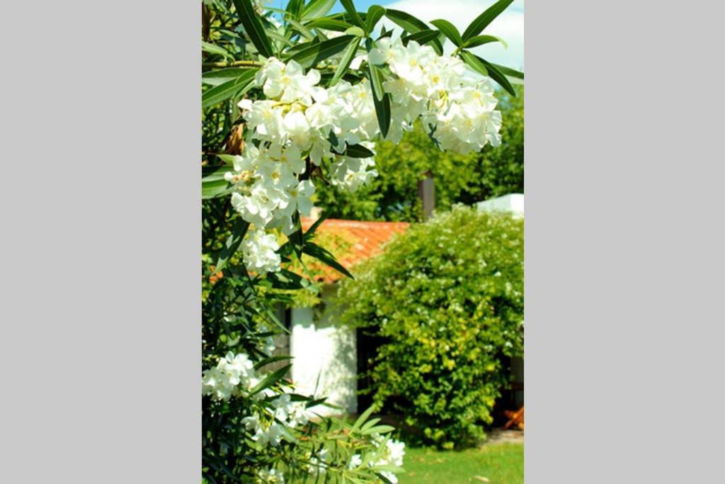 Big Beautiful House With Garden In 5Ta Seccion Neighbourhood Villa Mendoza Bagian luar foto