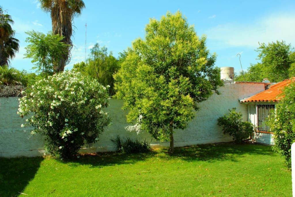 Big Beautiful House With Garden In 5Ta Seccion Neighbourhood Villa Mendoza Bagian luar foto