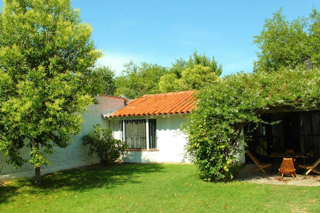 Big Beautiful House With Garden In 5Ta Seccion Neighbourhood Villa Mendoza Bagian luar foto